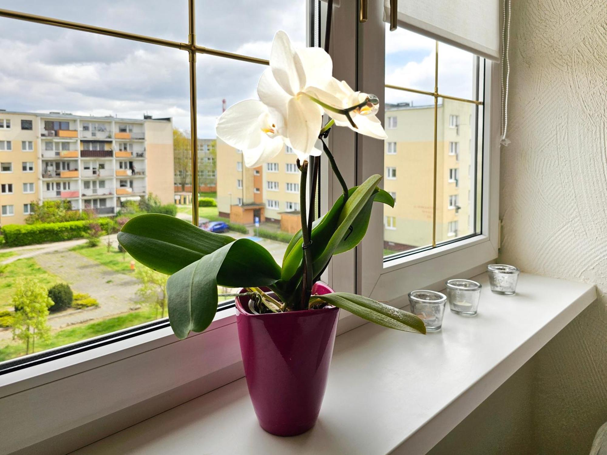 Visit Baltic - Apartament Sunny Swinoujscie Dış mekan fotoğraf